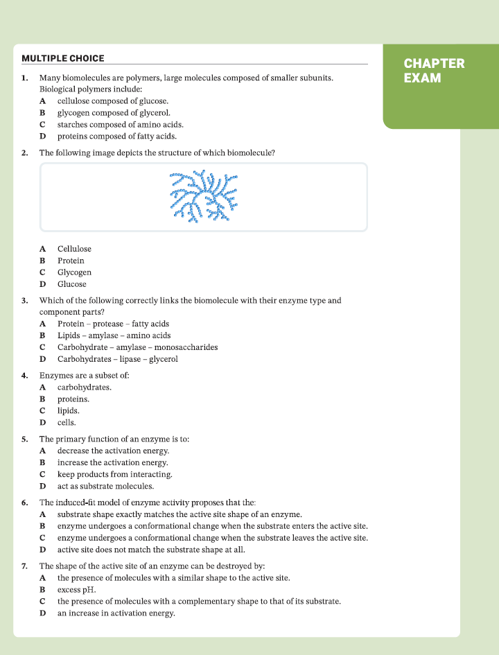 Exam-Style Questions